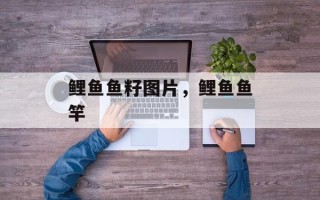 鲤鱼鱼籽图片，鲤鱼鱼竿