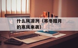 什么风凛冽（寒冬腊月的寒风来袭）