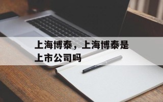 上海博泰，上海博泰是上市公司吗