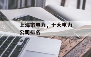 上海市电力，十大电力公司排名