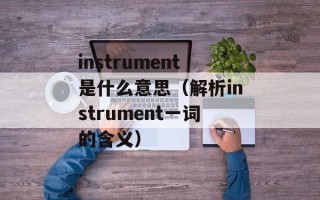 instrument是什么意思（解析instrument一词的含义）