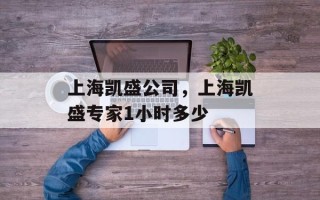 上海凯盛公司，上海凯盛专家1小时多少