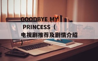 GOODBYE MY PRINCESS（电视剧推荐及剧情介绍）