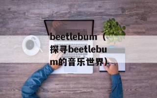 beetlebum（探寻beetlebum的音乐世界）