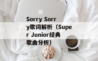 Sorry Sorry歌词解析（Super Junior经典歌曲分析）
