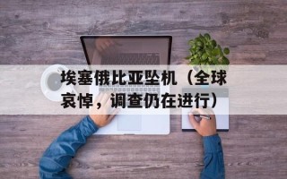 埃塞俄比亚坠机（全球哀悼，调查仍在进行）