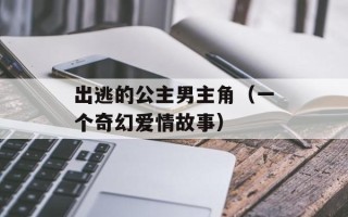 出逃的公主男主角（一个奇幻爱情故事）