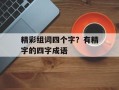 精彩组词四个字？有精字的四字成语