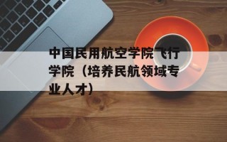 中国民用航空学院飞行学院（培养民航领域专业人才）