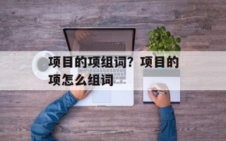 项目的项组词？项目的项怎么组词