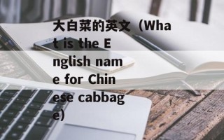 大白菜的英文（What is the English name for Chinese cabbage）