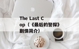 The Last Cop（《最后的警探》剧情简介）