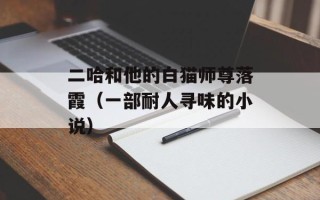 二哈和他的白猫师尊落霞（一部耐人寻味的小说）