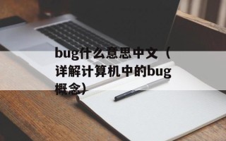 bug什么意思中文（详解计算机中的bug概念）