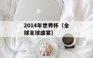 2014年世界杯（全球足球盛宴）