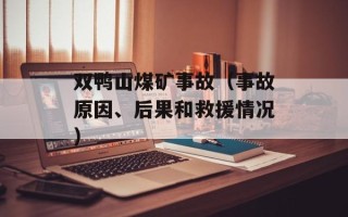 双鸭山煤矿事故（事故原因、后果和救援情况）