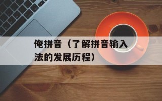 俺拼音（了解拼音输入法的发展历程）