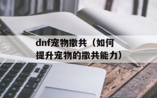 dnf宠物撒共（如何提升宠物的撒共能力）