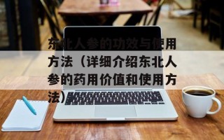 东北人参的功效与使用方法（详细介绍东北人参的药用价值和使用方法）