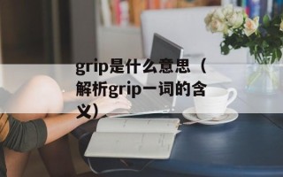 grip是什么意思（解析grip一词的含义）