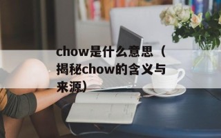 chow是什么意思（揭秘chow的含义与来源）