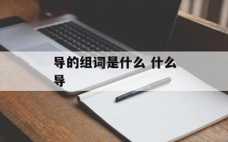 导的组词是什么 什么导