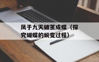 凤于九天破茧成蝶（探究蝴蝶的蜕变过程）