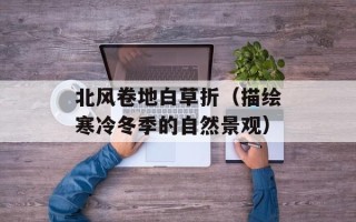 北风卷地白草折（描绘寒冷冬季的自然景观）