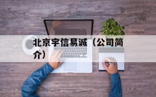 北京宇信易诚（公司简介）