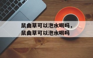 鼠曲草可以泡水喝吗，鼠曲草可以泡水喝吗