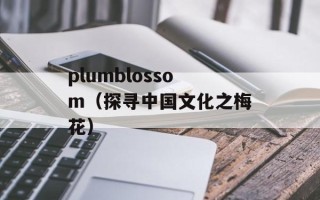 plumblossom（探寻中国文化之梅花）