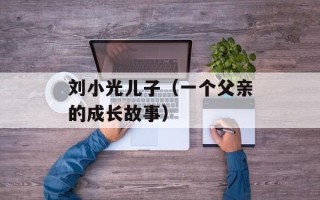 刘小光儿子（一个父亲的成长故事）