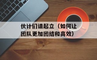伙计们请起立（如何让团队更加团结和高效）
