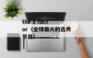 the x factor（全球最火的选秀节目）