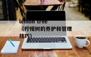lemon tree（柠檬树的养护和管理技巧）