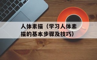 人体素描（学习人体素描的基本步骤及技巧）