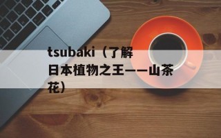 tsubaki（了解日本植物之王——山茶花）