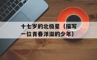 十七岁的北极星（描写一位青春洋溢的少年）