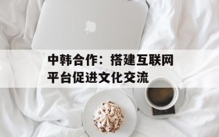 中韩合作：搭建互联网平台促进文化交流