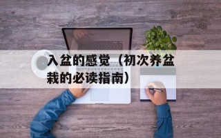 入盆的感觉（初次养盆栽的必读指南）