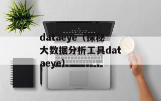 dataeye（探秘大数据分析工具dataeye）