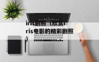 iris剧照（欣赏iris电影的精彩剧照）
