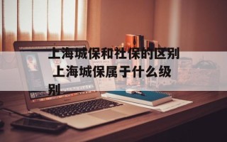 上海城保和社保的区别 上海城保属于什么级别