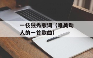 一枝独秀歌词（唯美动人的一首歌曲）