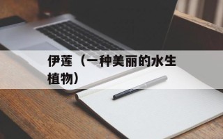 伊莲（一种美丽的水生植物）