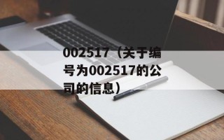 002517（关于编号为002517的公司的信息）