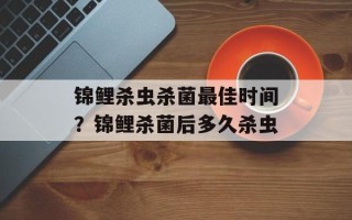 锦鲤杀虫杀菌最佳时间？锦鲤杀菌后多久杀虫