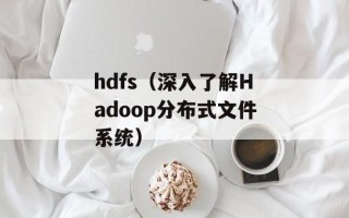hdfs（深入了解Hadoop分布式文件系统）
