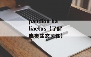 pandion haliaetus（了解鹰类生态习性）