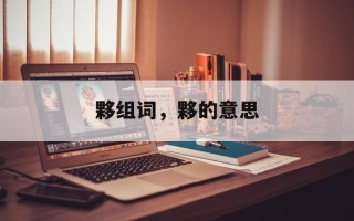 夥组词，夥的意思